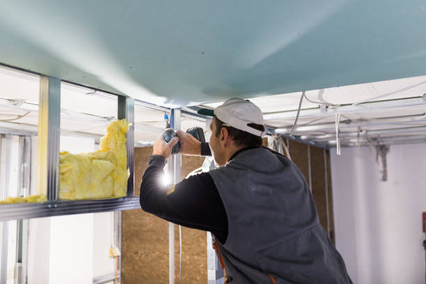 Best Insulation Installation Services in Williamsport, PA