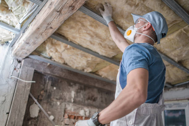 Best Commercial Insulation in Williamsport, PA